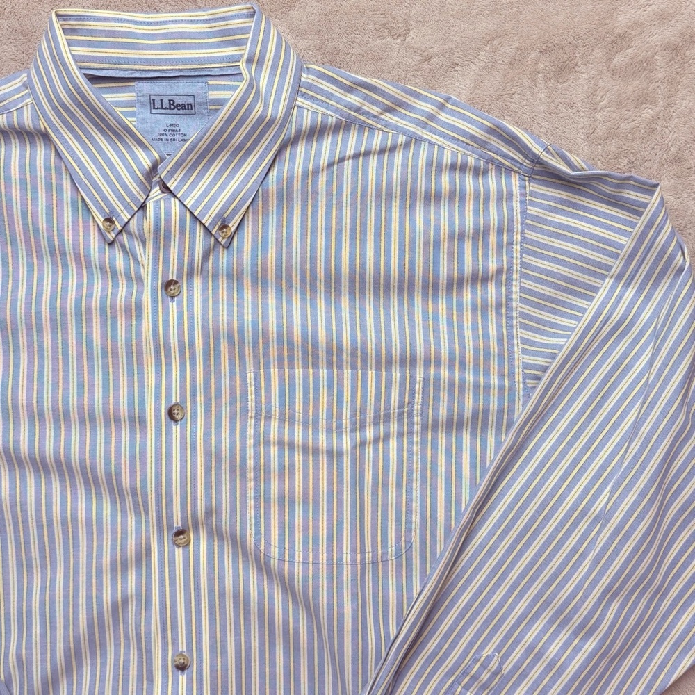 L.L. Bean Men's Multicolor Striped Button-Down Shirt